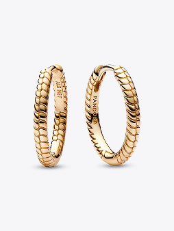 Pandora Moments Small Charm Hoop Earrings