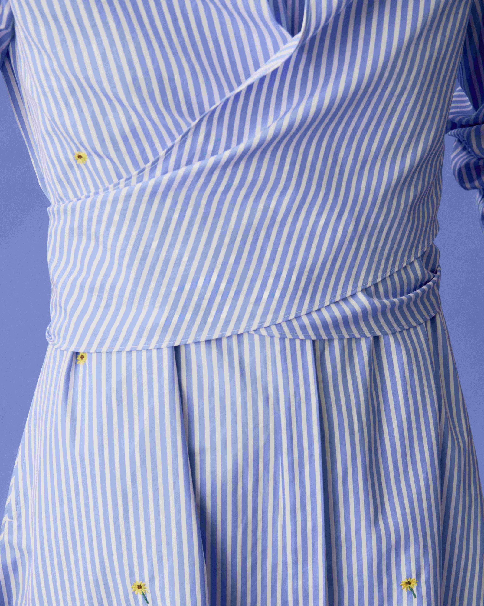 Image2_Detail