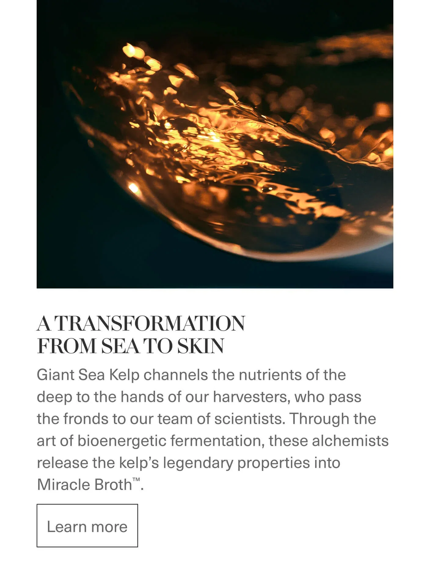 A TRANSFORMATION FROM SEA TO SKIN | Learn more