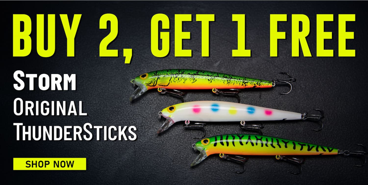 Buy 2, Get 1 Free Storm Original ThunderSticks Shop Now