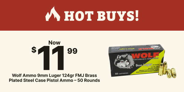 Wolf Ammo 9mm Luger 124gr FMJ Brass Plated Steel Case Pistol Ammo - 50 Rounds Now $11.99
