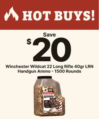 Save $20 on Winchester Wildcat 22 Long Rifle 40gr LRN Handgun Ammo