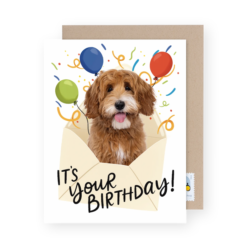 Dog birthday