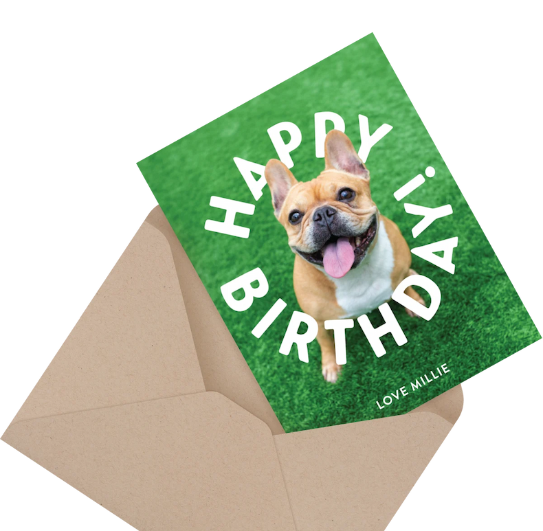Pet Holiday Cards