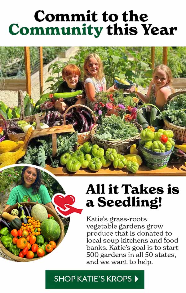 Shop Katie's Krops