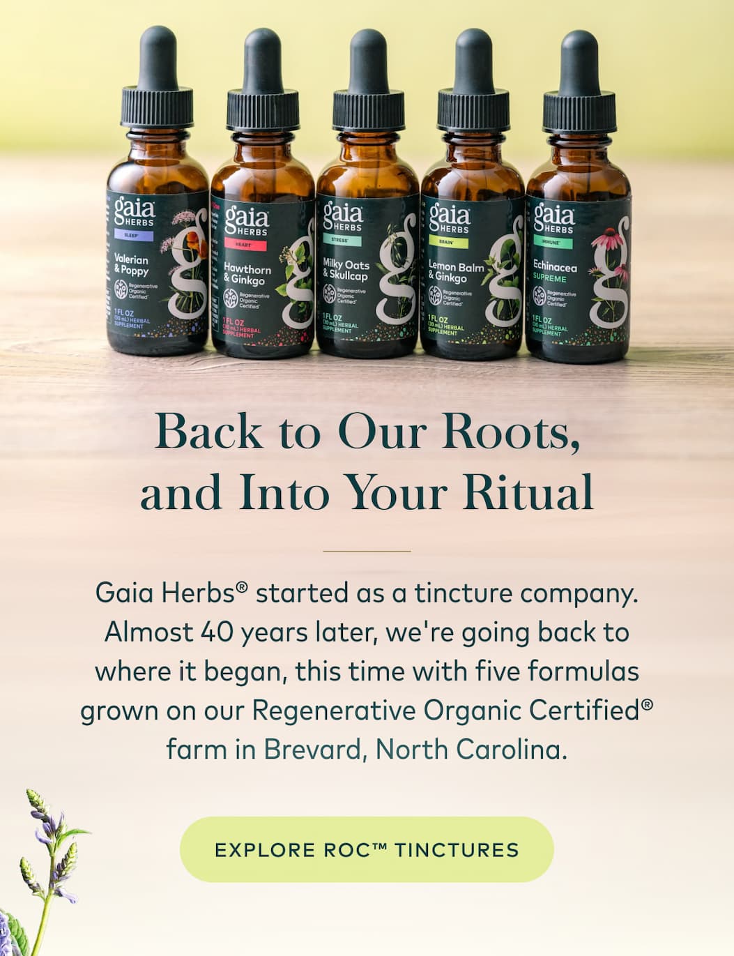 Gaia Herbs ROC Tinctures