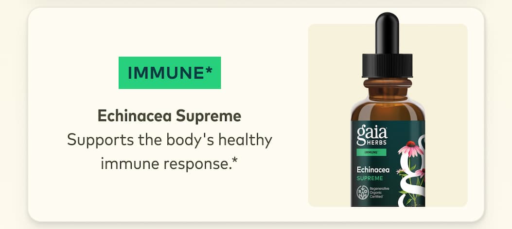 Echinacea Supreme