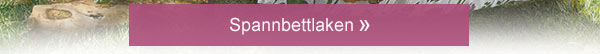 Spannbettlaken!