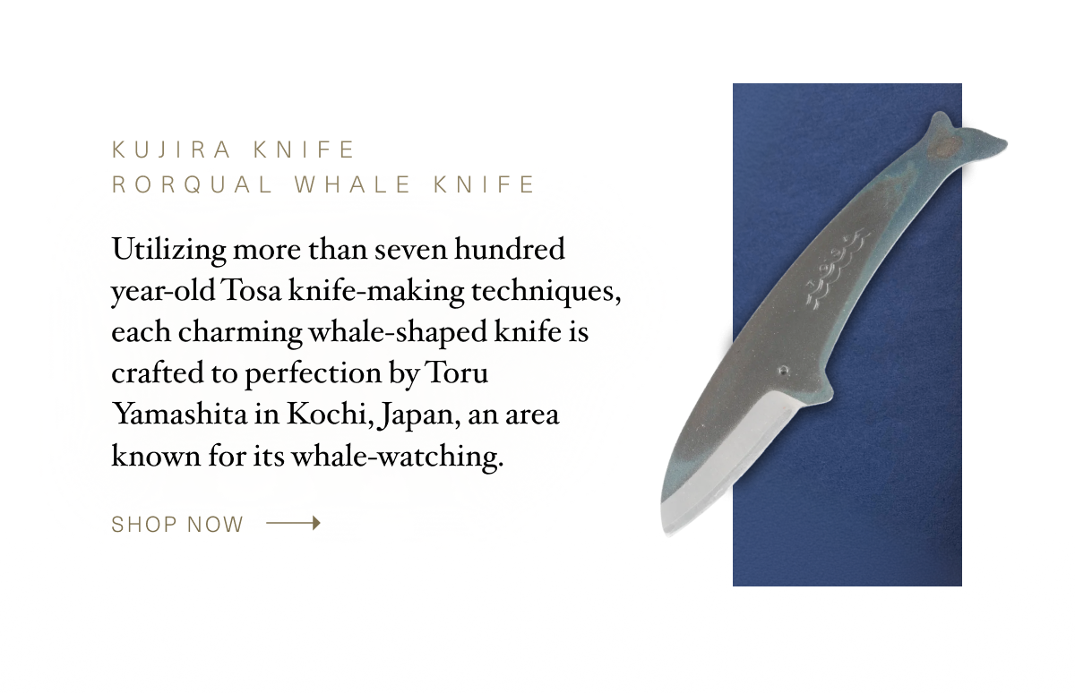 Kujira Knife Rorqual Whale Knife