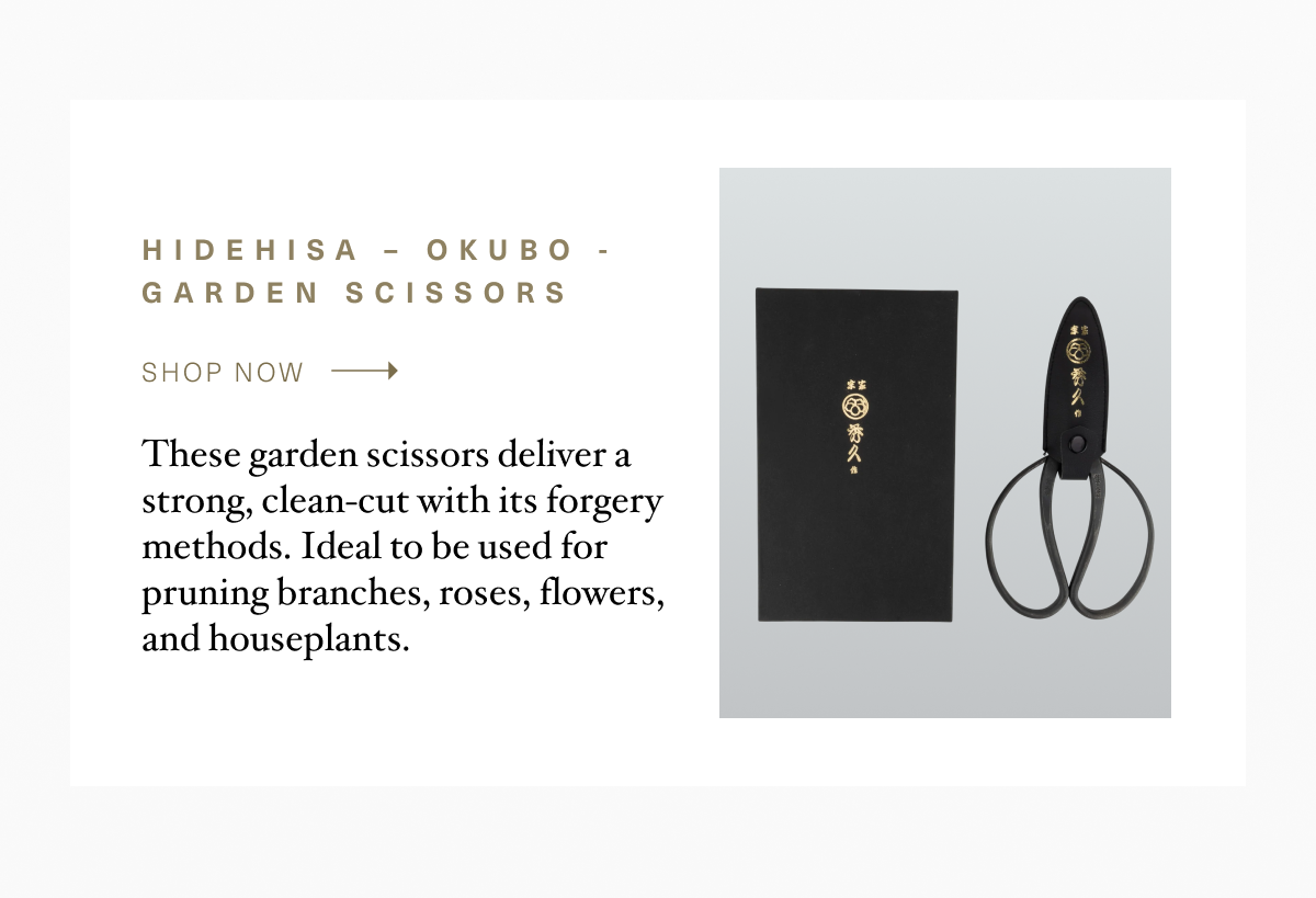 Hidehisa Okubo - Garden Scissors
