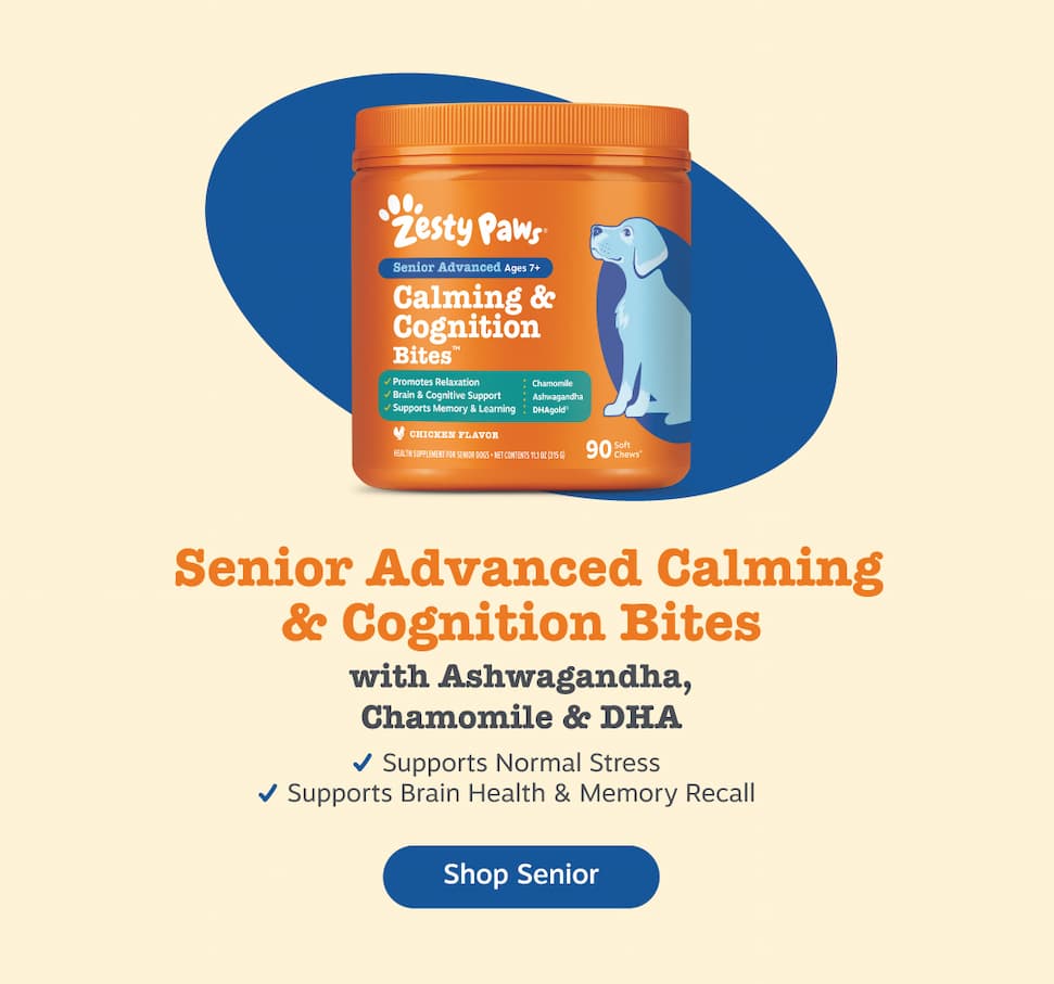 Senior Advanced Calming & Cognition Bites with Ashwaganda, Chamomile & DHA. Shop Senior.