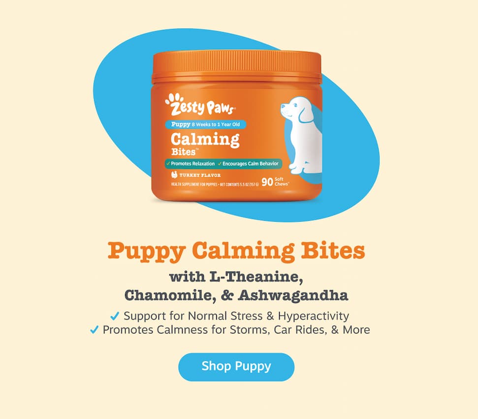 Puppy Calming Bites with L-Theanine, Chamomile, & Ashwagandha. Shop Puppy.