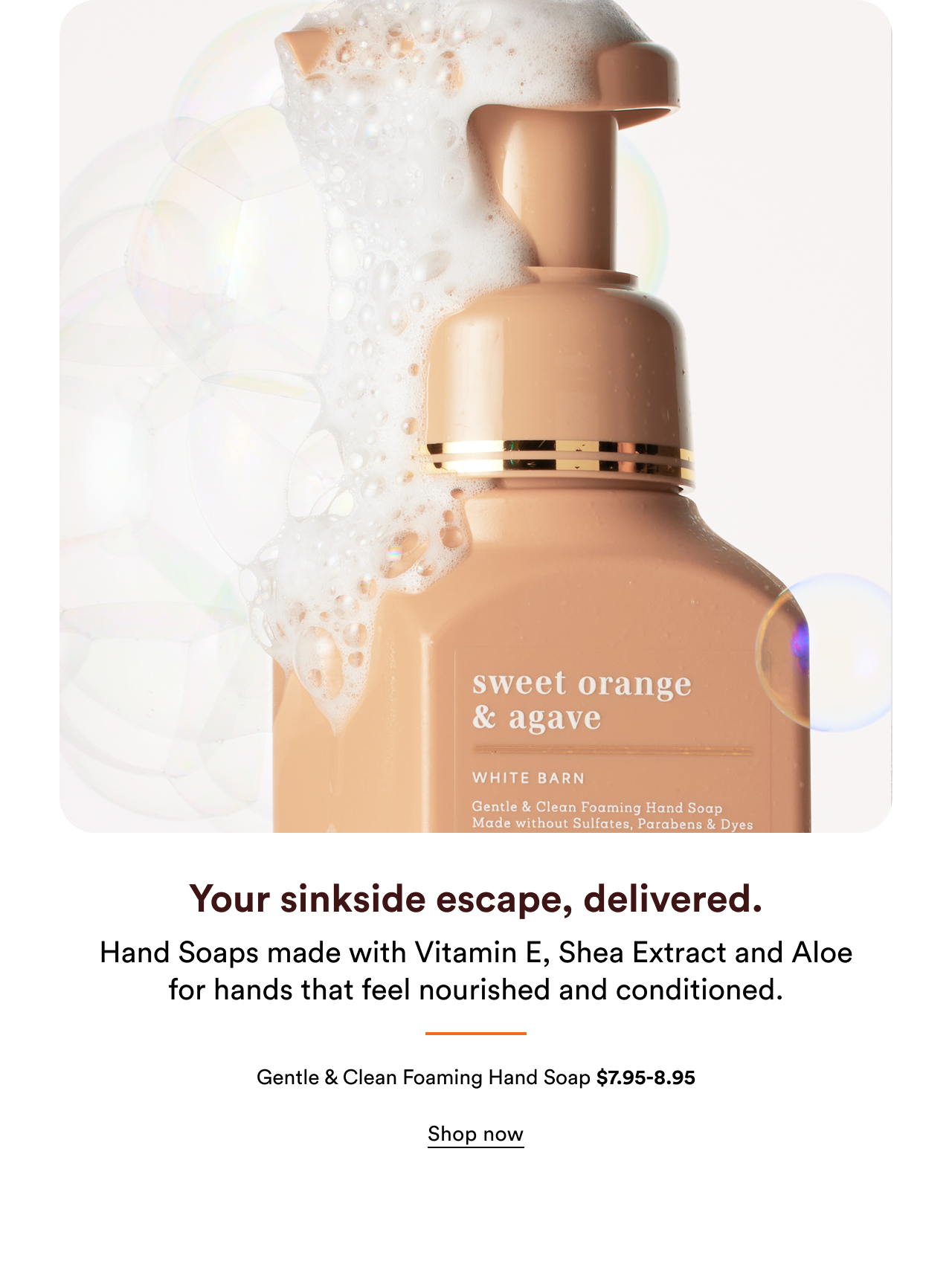 Your sinkside escape, delivered. | Gentle & Clean Foaming Hand Soap | Shop now