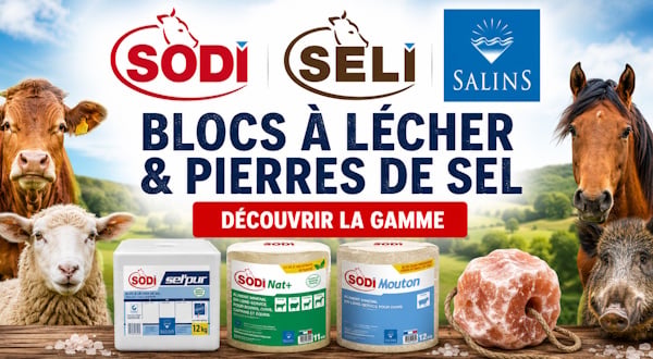 Blocs à lécher et sels agricole pour vos animaux 