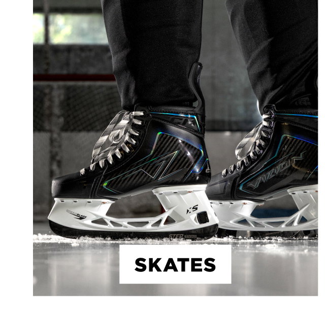 B1a - Skates