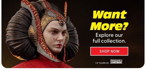 Want More?  Explore our full collection. 