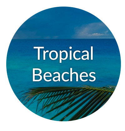 Art of tropical beaches