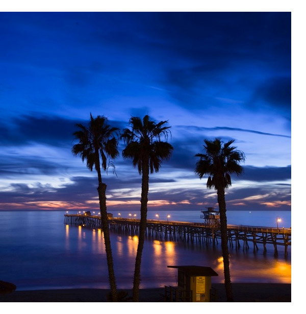 Silhouette of palm trees on the beach