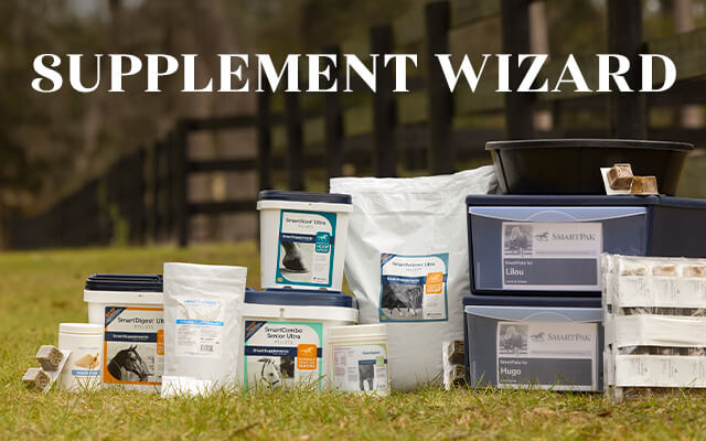Try the supplement wizard. 