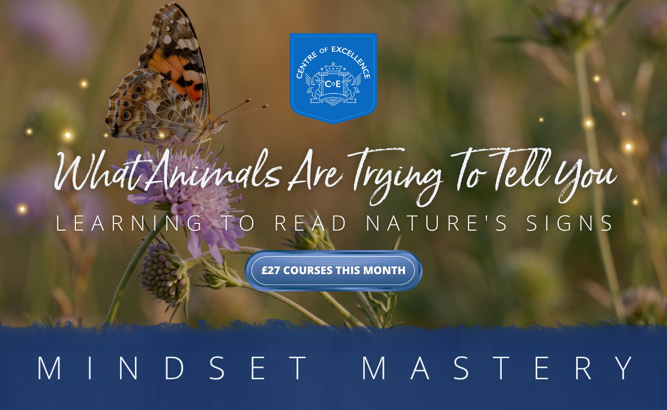 What animals are trying to tell you banner