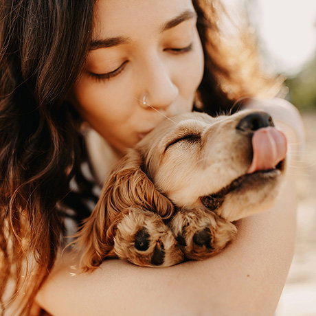 Animal Communication Diploma Course image