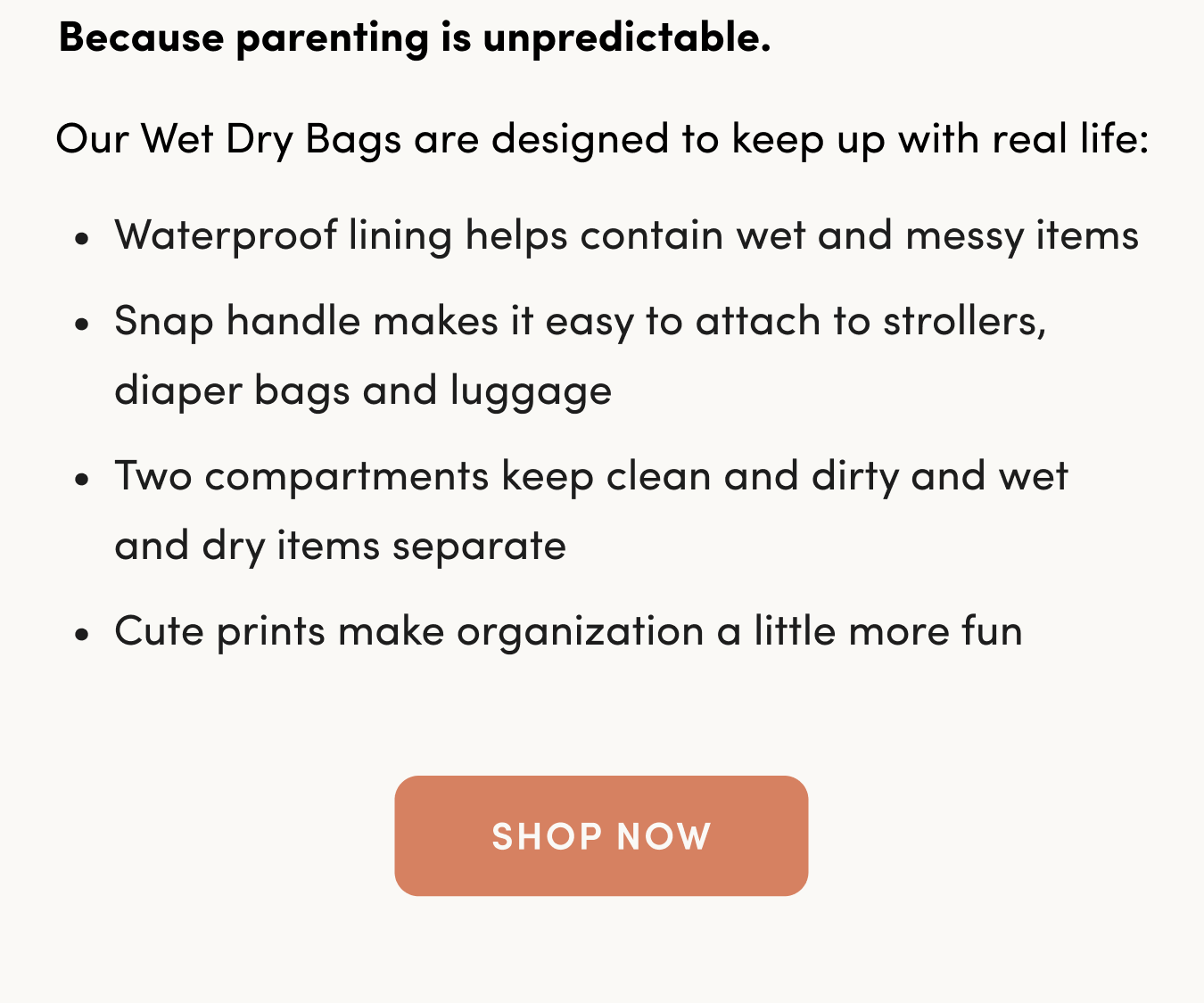 bulleted list in black text on a white background