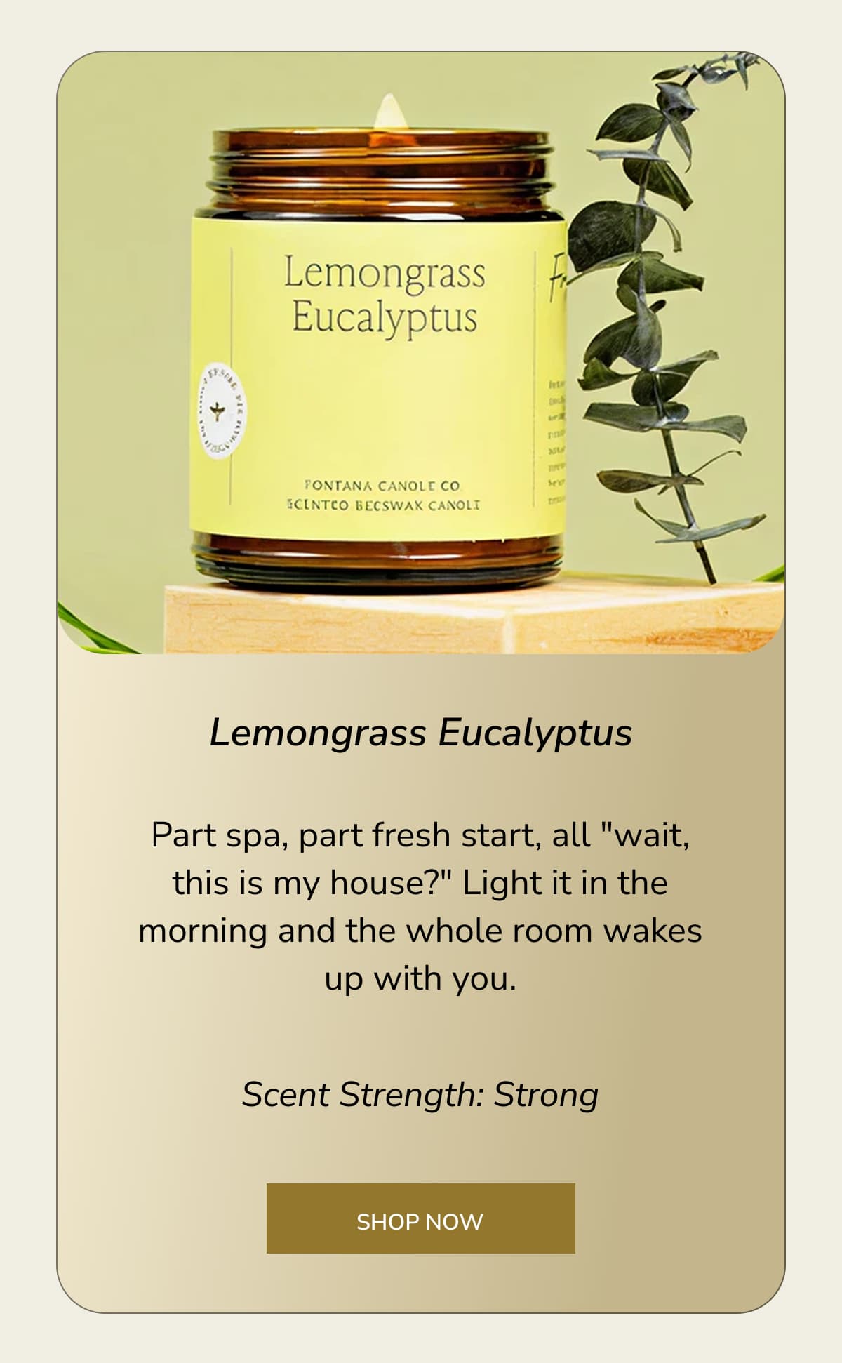 Lemongrass Eucalyptus