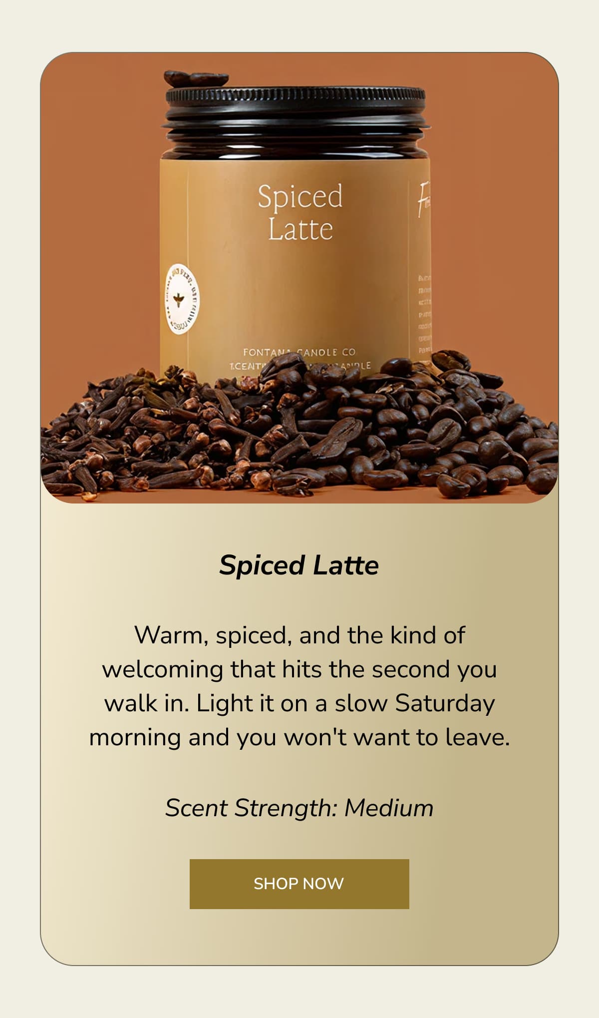 Spiced Latte