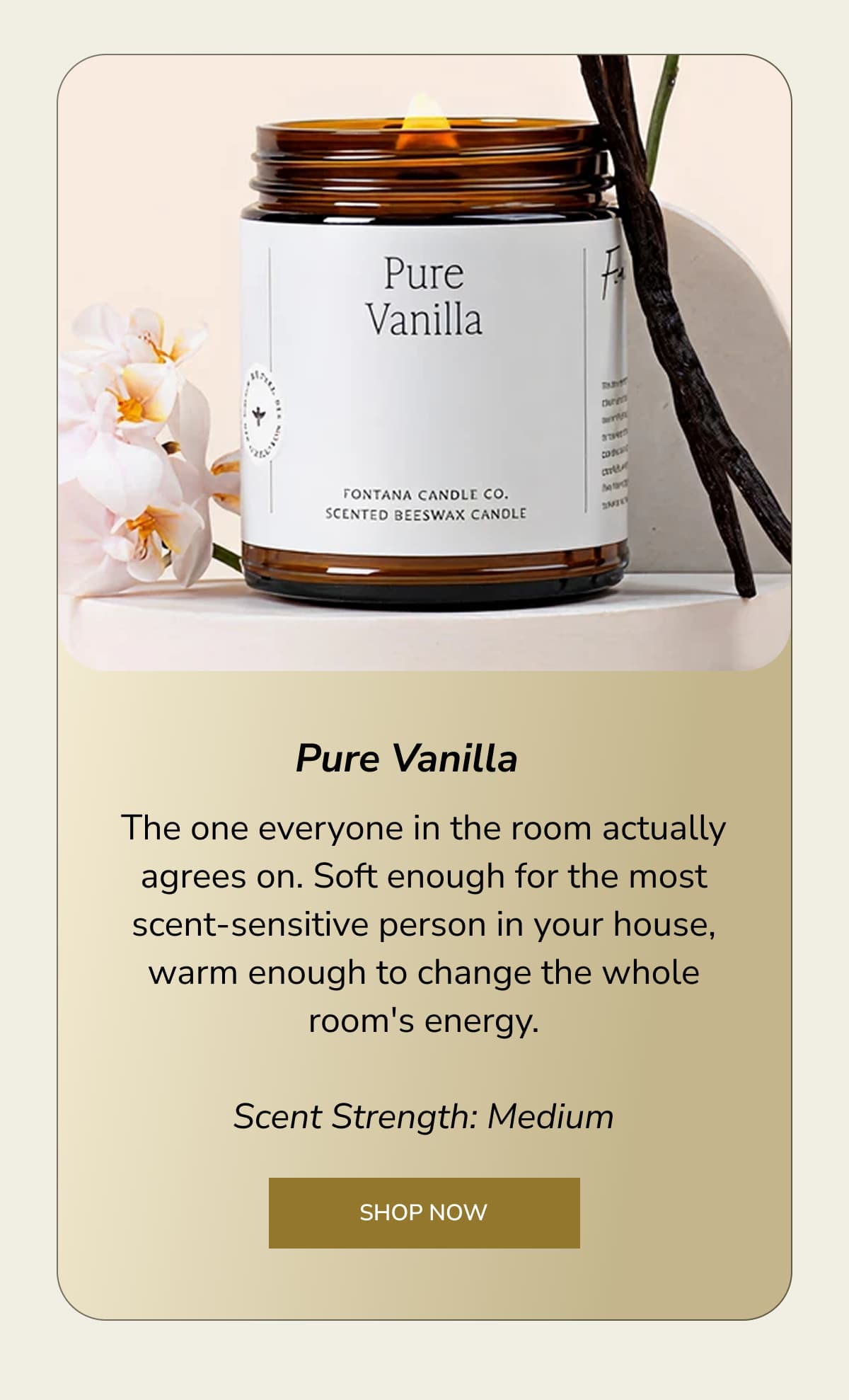 Pure Vanilla