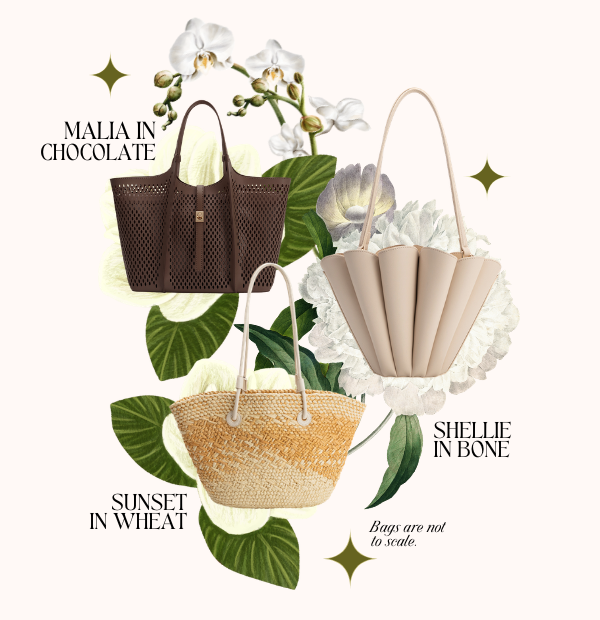 The Vacation Collection