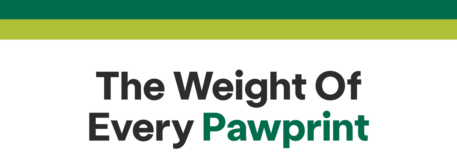 The Weight of Every Pawprint