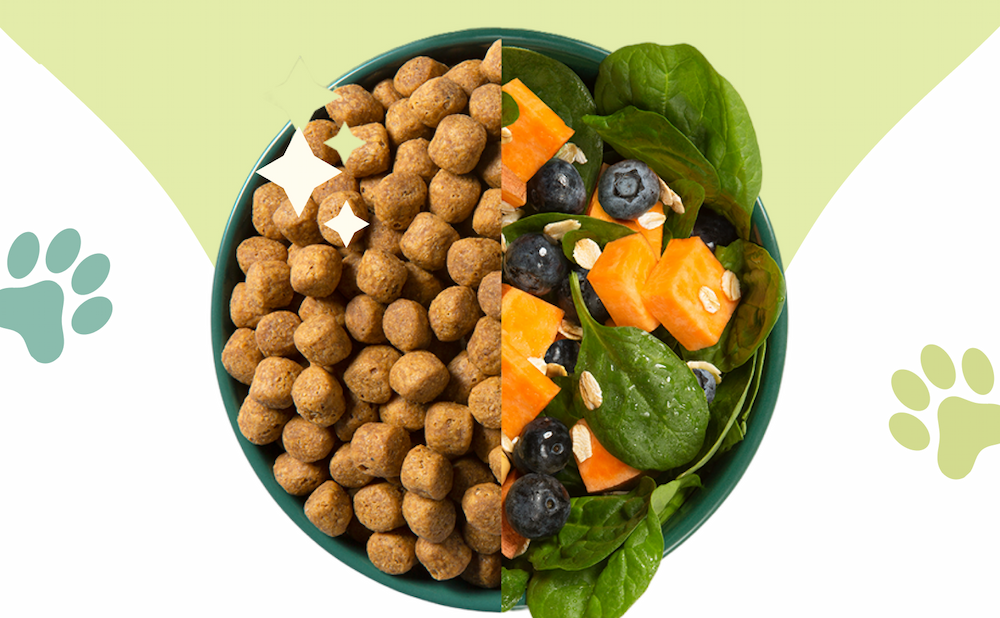 Dog Sala Bowl Image