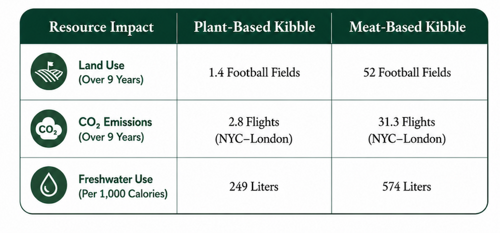 Comparison Table