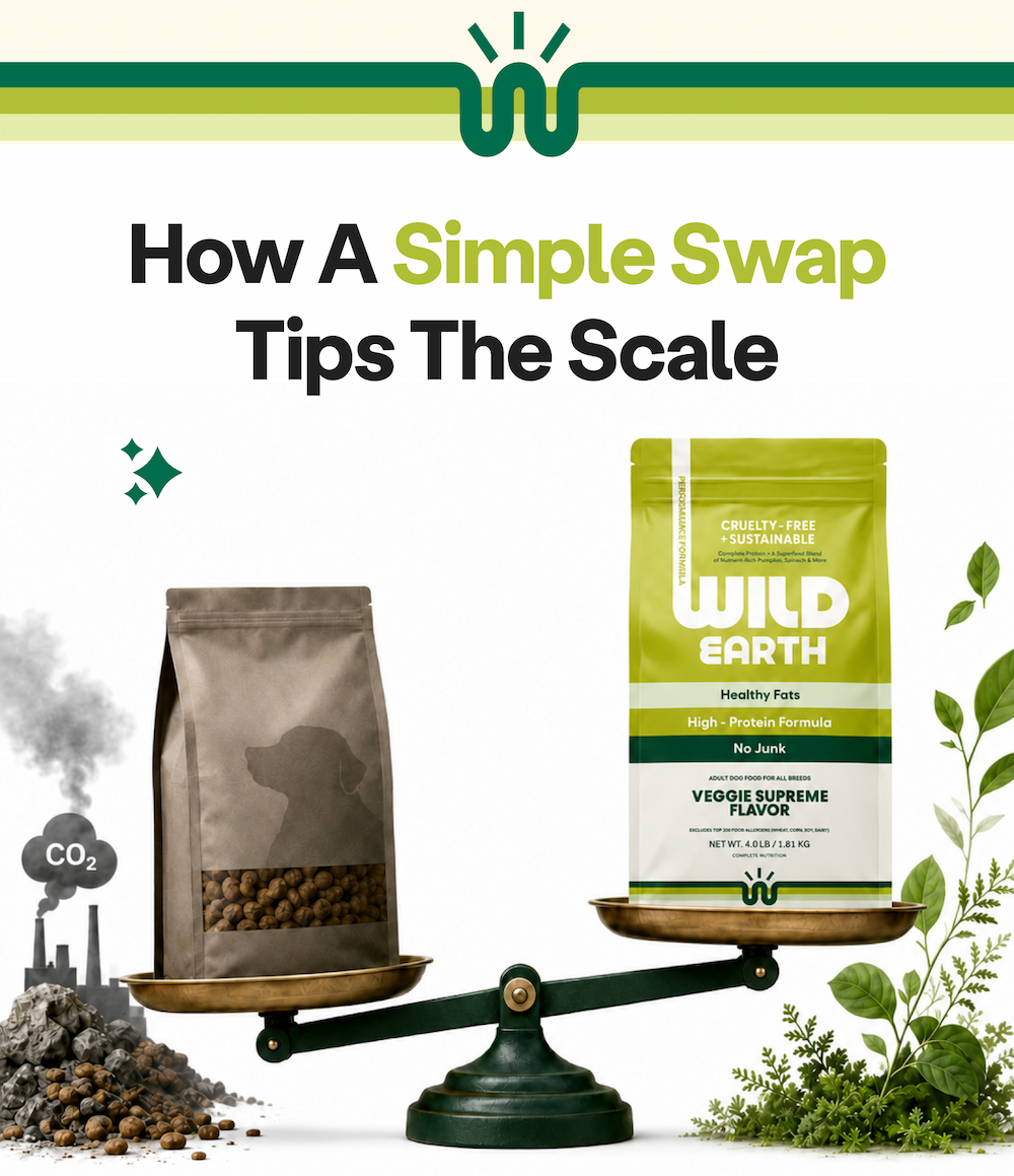How a Simple Swap Tips the Scale 