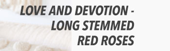 Love and Devotion - Long Stemmed Red Roses
