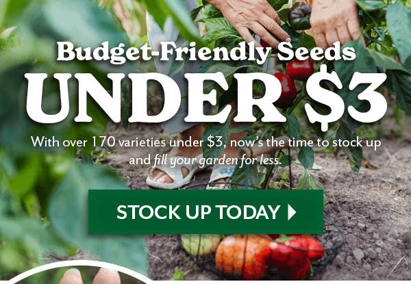 Budget Friendly Seeds Under $3