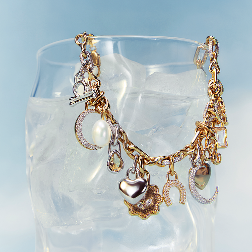 YOU FOUND THE JEWELS, NOW ADD CHARMS