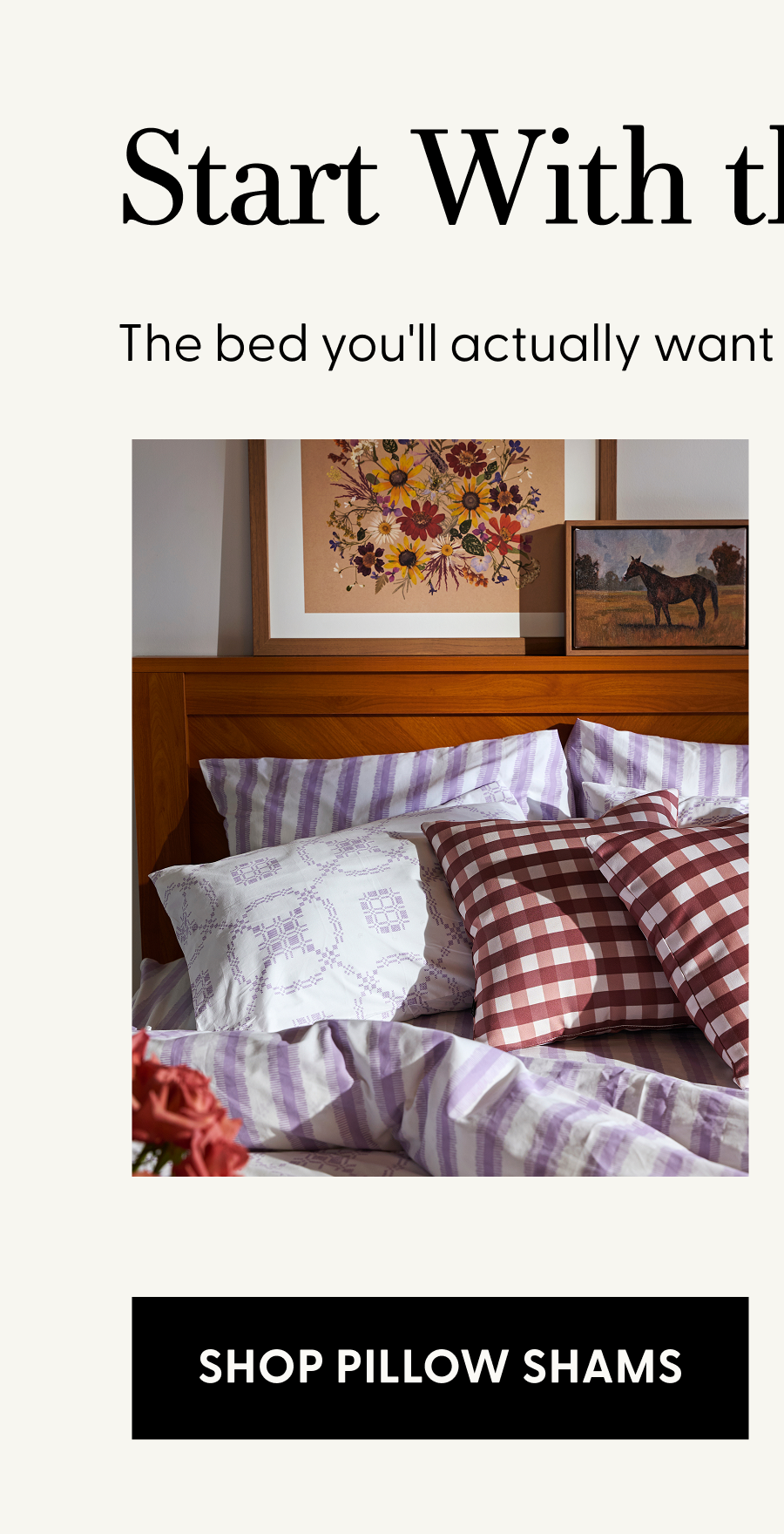 Shop Pillow Shams