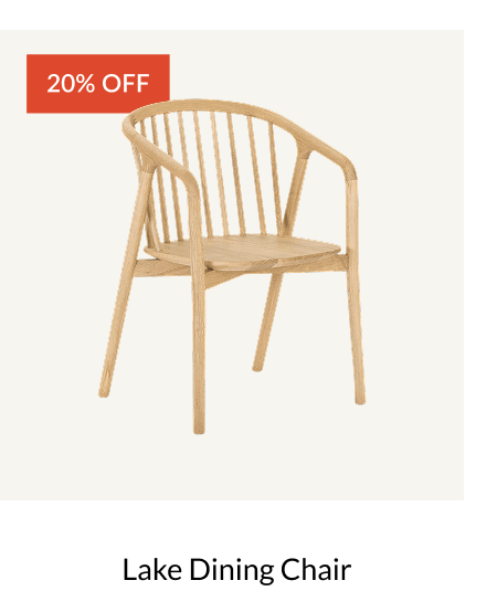 Shop Lake Dining Chair