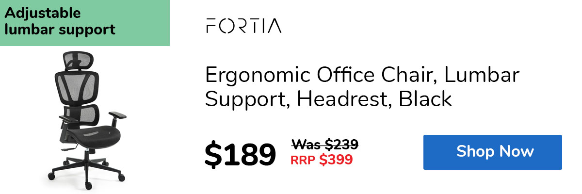 Ergonomic Office Chair, Lumbar Support, Headrest, Black