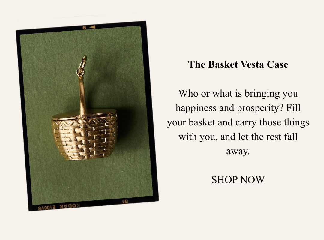 The Basket Vesta Case