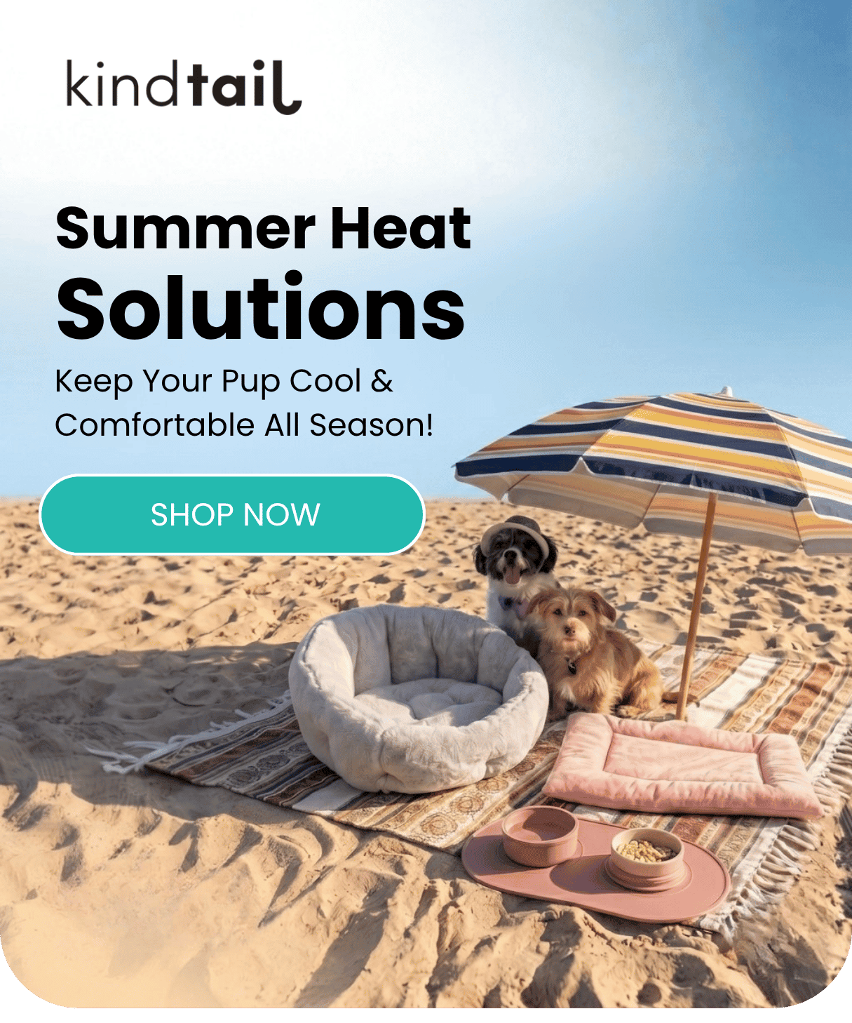  Summer Heat Solutions Keep Your Pup Cool & Comfortable All Season! 