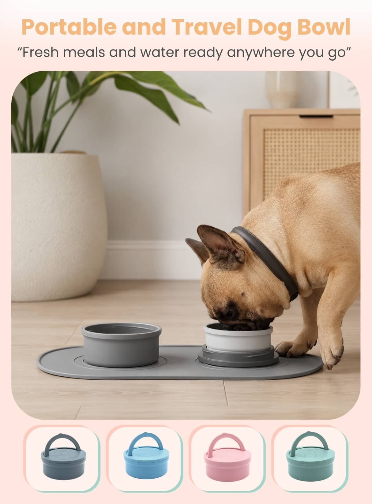 Portable and Travel Dog Bowl