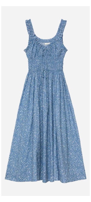 Emmaretta Dress In Blue Garden Bloom