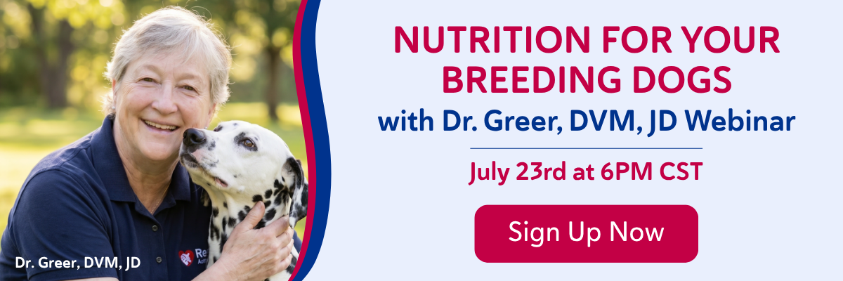 Sign Up Now