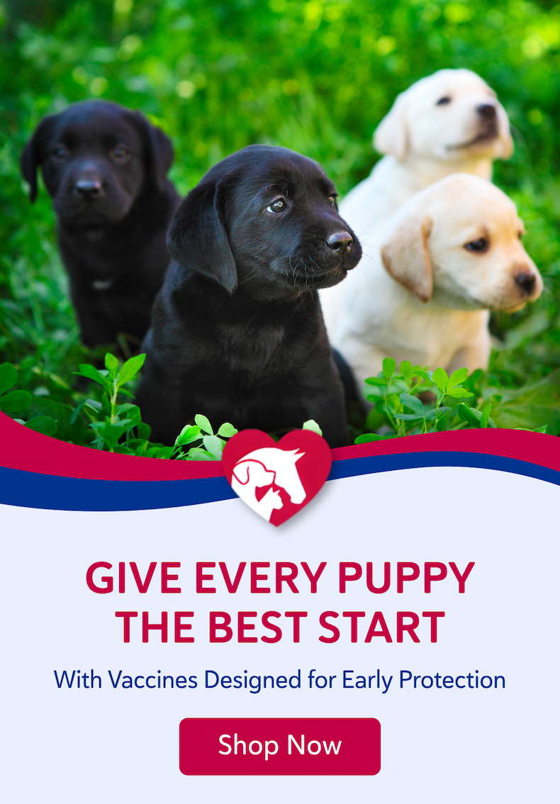 Give every puppy the best start with vaccines designed for early protection.