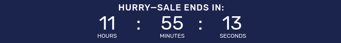 Countdown timer for Night Owl Sale.