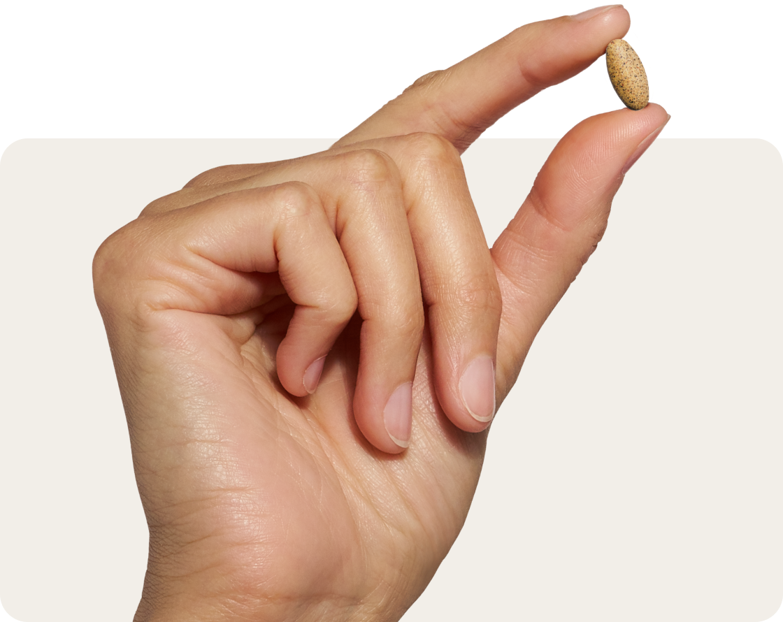 Hand holding a mini tablet