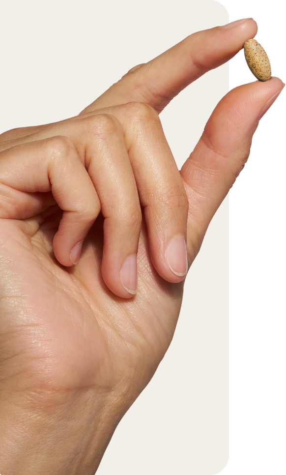 Hand holding a mini tablet