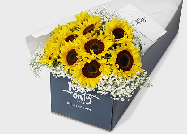 Image of Baby's Breath With Sunflowers Gift Box (ROA68)